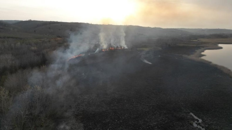 Ağaçlık alanda yangın çıktı, 100 dönümlük arazi kül oldu