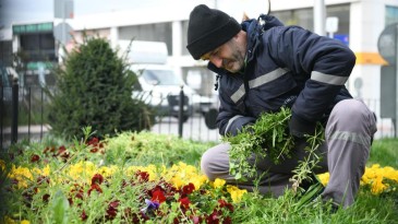 Çayırova’da bahar hazırlığı