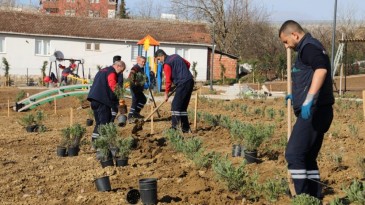 Gündoğdu lavanta ile canlandırılacak