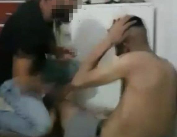 Bodrum katta işkenceye uğramıştı, şahıstan şikayetçi olmadı