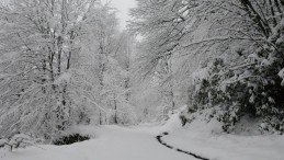 Kartepe beyaza büründü, drone ile böyle görüntülendi