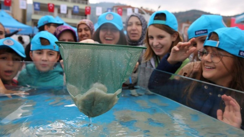 İzmit Körfezi’ne 5 bin balık daha salınacak
