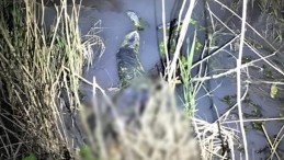 ŞOK! Derede ceset bulundu