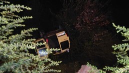 Ehliyetsiz sürücü ağaçlık alana uçtu: 2 yaralı