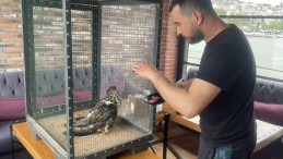 Denizde buldukları yırtıcı kuşu ısıtıp besledikten sonra doğaya bıraktılar