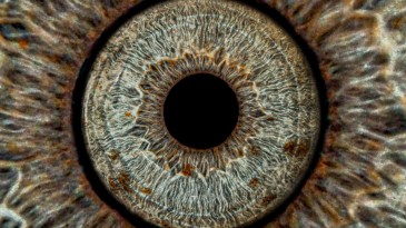 Gözler sanata dönüşüyor