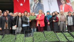 Çiftçiye yüzde yüz hibeli fide desteği