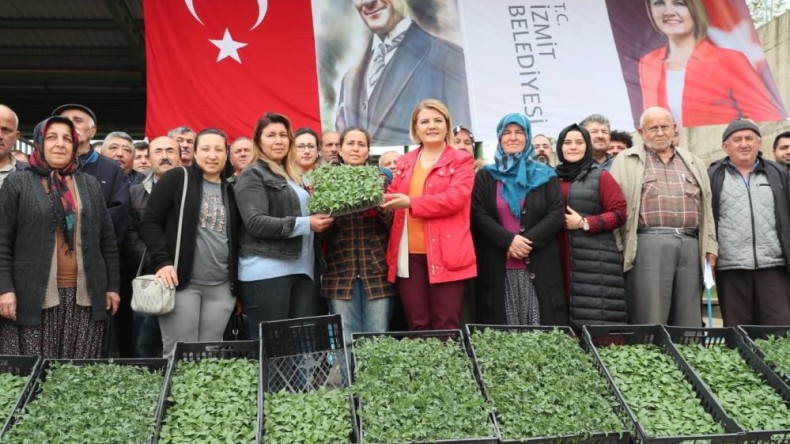 Çiftçiye yüzde yüz hibeli fide desteği