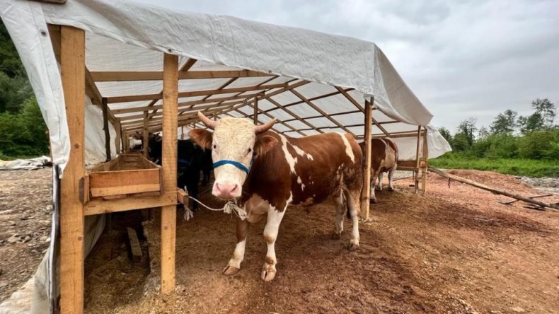 Kurbanlık hayvan satış yeri için hazırlıklar tamam