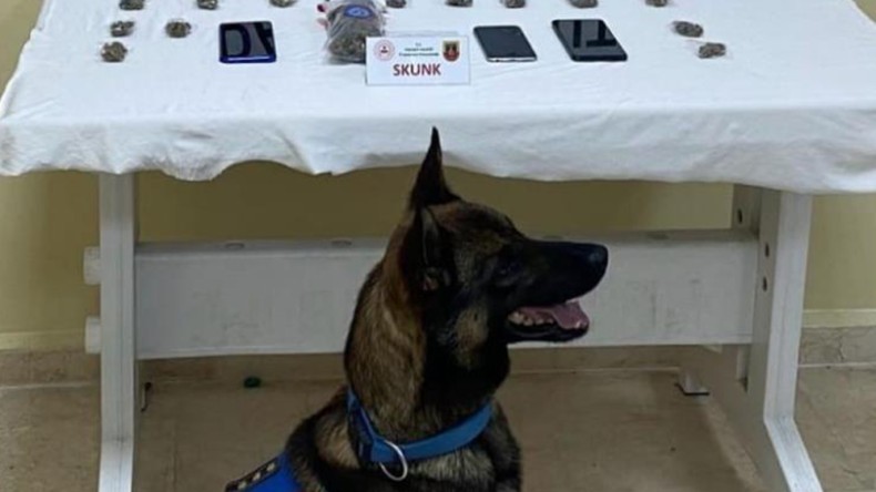 Jandarma’dan İzmit’te uyuşturucu operasyonu