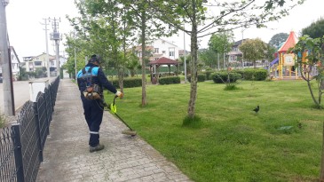 Başiskele’nin Yeşil Alanları Güzelleşiyor