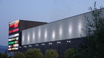 Görenler hayrete düşüyor; AVM’yi sivrisinekler bastı