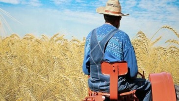 Çiftçiye kötü haber; Yargıtay ‘dan karar…