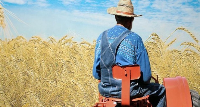 Çiftçiye kötü haber; Yargıtay ‘dan karar…