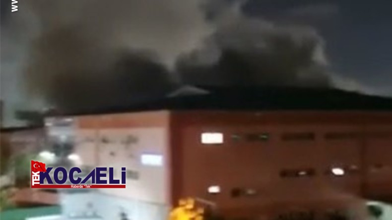 Geri dönüşüm fabrikasının deposunda yangın