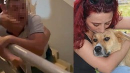 Köpeğe tekme iddiası: İki komşu böyle birbirine girdi