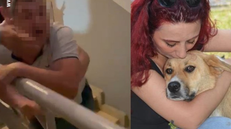 Köpeğe tekme iddiası: İki komşu böyle birbirine girdi