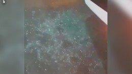 Otobüste Dehşet Anları: Yolcu Almak İçin Durdu, Kurşunlandı