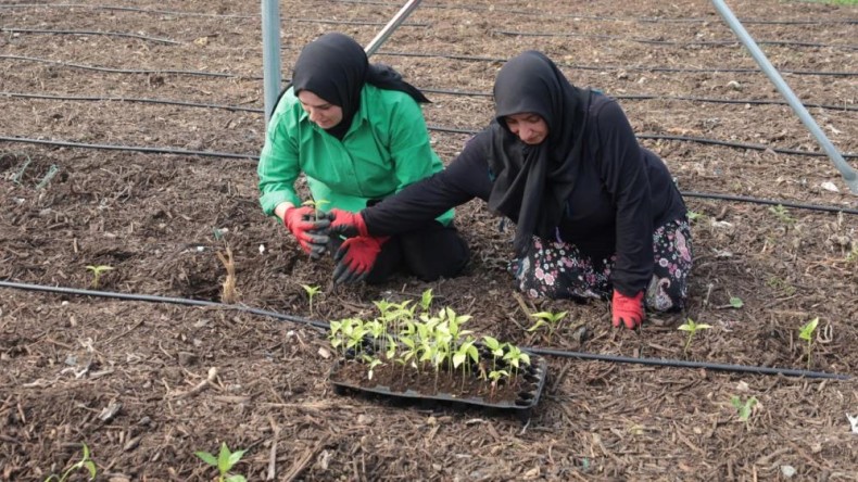 Kadın girişimcilere destek