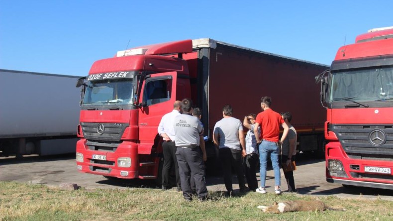 Tır sürücüsü direksiyon başında ölü bulundu