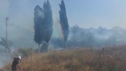 Aynı saatte 3 farklı köyde yangın