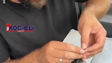 Olta iğnesi yutan yaban kuşu böyle kurtarıldı