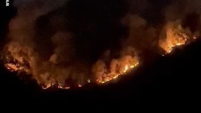 Başiskele’de orman yangını: Vali Yavuz olay yerinde açıkladı