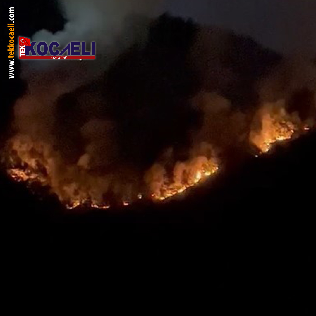 Başiskele’de orman yangını: Vali Yavuz olay yerinde açıkladı