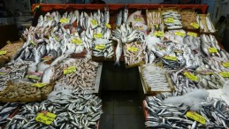 Tezgahlarda hamsi bolluğu yaşanıyor