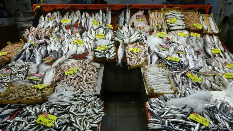 Tezgahlarda hamsi bolluğu yaşanıyor