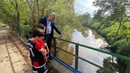 Derede balıklar telef oldu: Muhtar yetkililere seslendi