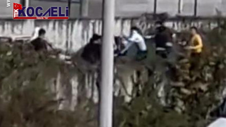 Komşuda olay: Gençler tekme tokat birbirlerine girdi