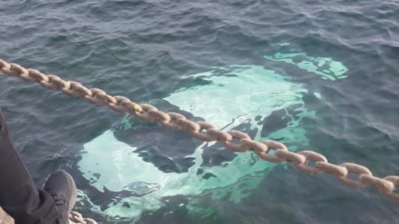 Araç denize uçtu: Sürücüyü balıkçılar kurtardı