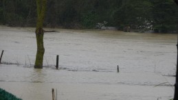 Kocaeli’de tarım arazilerini su bastı