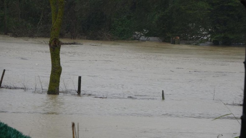 Kocaeli’de tarım arazilerini su bastı