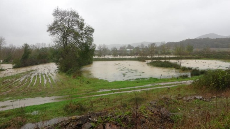 Kocaeli Valiliği açıkladı: İşte fırtınanın bilançosu