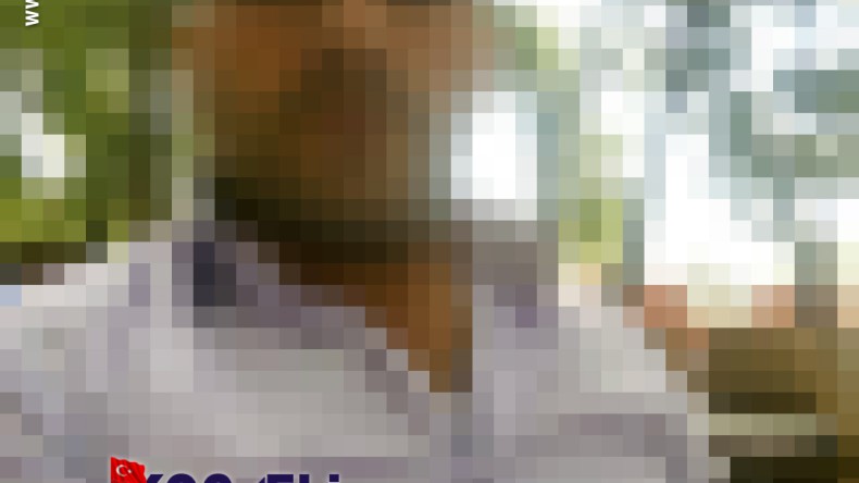 Eski eşini öldürüp kaçmıştı, operasyonla yakalandı