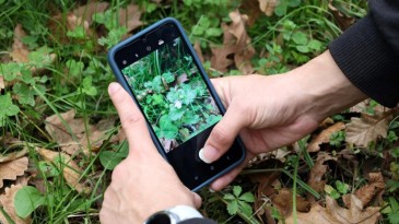 Ormanya’da yeni canlı türleri keşfedildi