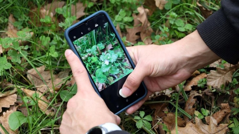 Ormanya’da yeni canlı türleri keşfedildi