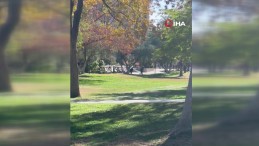 Üniversitede silahlı saldırı: Ölü ve yaralılar var