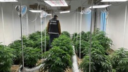 İşte 2023’ün uyuşturucu bilançosu