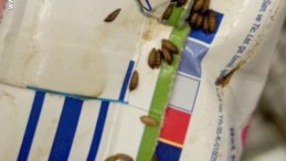 Markette mide bulandıran görüntü: Kurtlanmış ürün tespit edildi