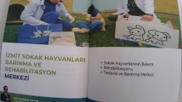 Hayvanseverler müjde; İzmit’e ‘Sokak Hayvanları Barınma Merkezi’ geliyor