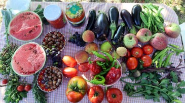 Yüzde 75 hibeli tarım desteği; başvurular başladı