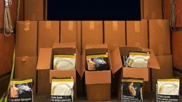 TEM’de durdurulan araçtan 4 ton sahte bandrollü tütün çıktı