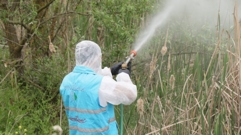 İzmit Belediyesi halk sağlığı için ilaçlama çalışmalarını sürdürüyor 