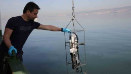 İzmit Körfezi’nde biyoçeşitlilik araştırması sürüyor