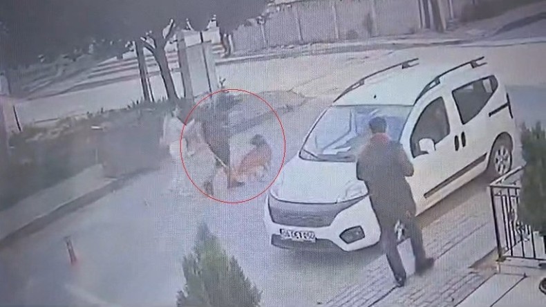 Bekçi ile boksör arasında ’ağızlıksız pitbull’ kavgası