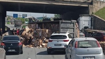 Karton yüklü tır devrildi: 1 yaralı