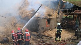 Yangın Besi Çiftliğini kül etti: 25 büyükbaş telef oldu